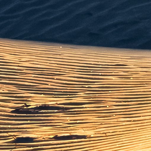 En Détail