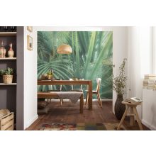 Jungle Lands