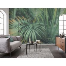 Jungle Lands