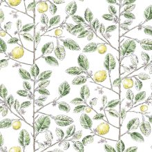 Limoncello   Trópusi mintás tapéta