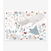 Ocean field - animals and flowers