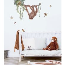 Uton - orangutan