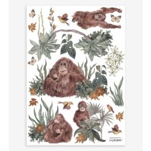 Utan - monkey and plants