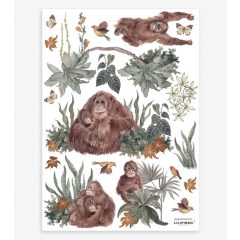 Utan - monkey and plants