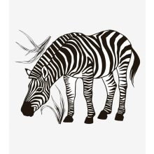 Black majik - zebra
