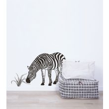 Black majik - zebra