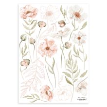 Islandic poppies