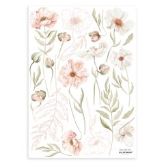 Islandic poppies