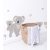 Lilydale - koalas family
