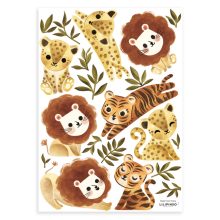 Felidae - lions, cheetahs and tigers