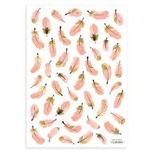 Flamingo - pink feathers