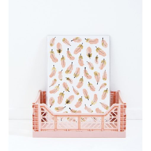 Flamingo - pink feathers