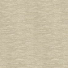 Lucia csíkos tapéta