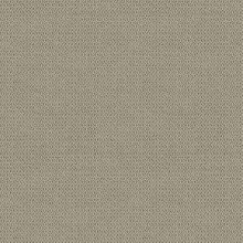 Roma visszafogott tapéta, egyszínű tapéta