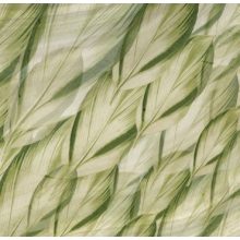 Dracaena   Levél mintás tapéta