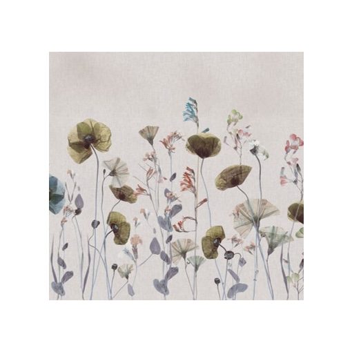 Wild Flow      Tapéta tavaszi virágokkal