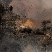 Sicily   Mintás tapéta, arany színű tapéta, barna tapéta