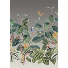 Jonna green Zöld papagájos poszter tapéta