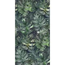 Congo Pálmaleveles poszter tapéta