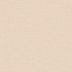 Plain