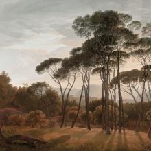 Umbrella Trees   Tájképet ábrázoló tapéta