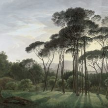 Umbrella Trees   Tájképet ábrázoló tapéta