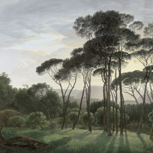 Umbrella Trees   Tájképet ábrázoló tapéta