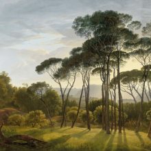 Umbrella Trees   Tájképet ábrázoló tapéta