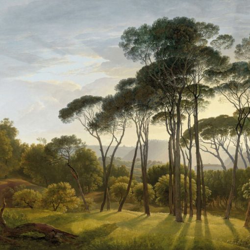 Umbrella Trees   Tájképet ábrázoló tapéta