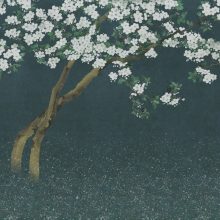 Nana  , fa mintás tapéta, virágos tapéta, japán hangulatú tapéta