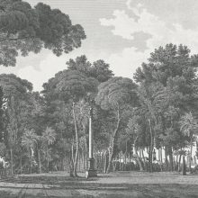 Alameda Tájkép mintás tapéta, Szürke tapéta, Fekete fehér tapéta