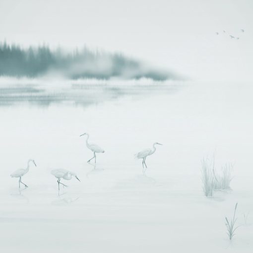 Albufera  Tájkép mintás tapéta, Állatos tapéta