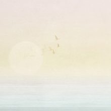 Sunset   Színes tapéta, Mintás tapéta