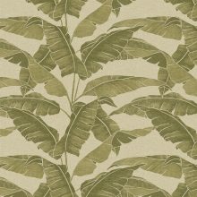 Verdant  levél mintás tapéta, pálmalevél mintás tapéta, növény mintás tapéta