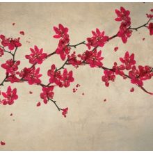 Primavera       Japán hangulatú tapéta