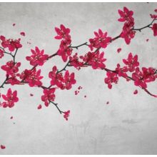 Primavera       Japán hangulatú tapéta