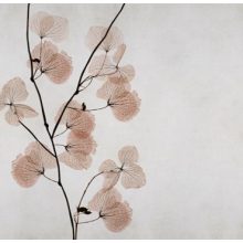 Mizar     Tapéta vidám virágokkal