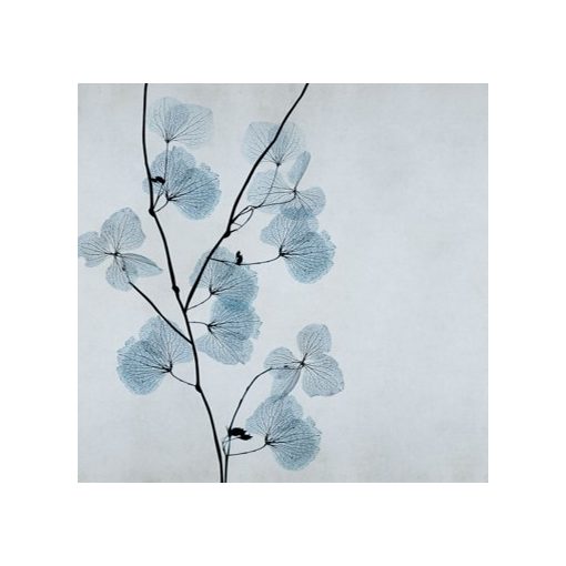 Mizar     Tapéta vidám virágokkal