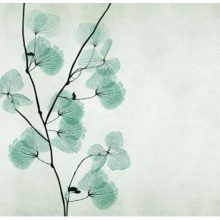 Mizar     Tapéta vidám virágokkal