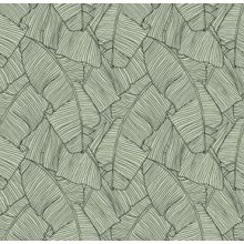 Dubai    Pálmalevél mintás tapéta több színben