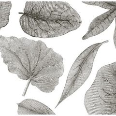 Giant Leaves-Óriási levél mintás tapéta