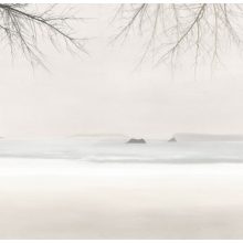 Ramus   Tájat ábrázoló tapéta