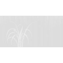 Ramus   Tájat ábrázoló tapéta