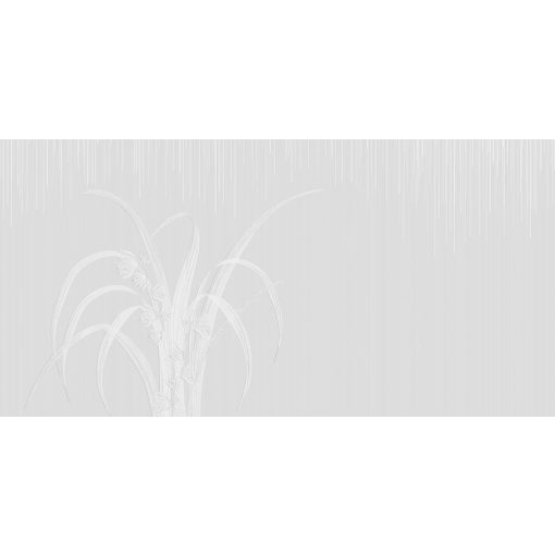 Ramus   Tájat ábrázoló tapéta