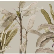 Tropical    Pálmalevél mintás tapéta több színben