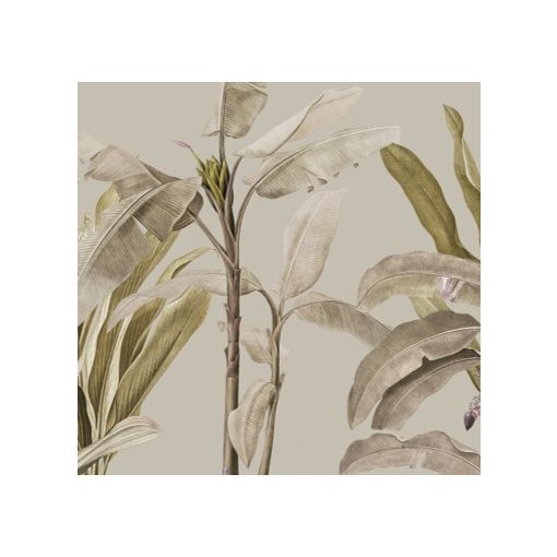 Tropical    Pálmalevél mintás tapéta több színben