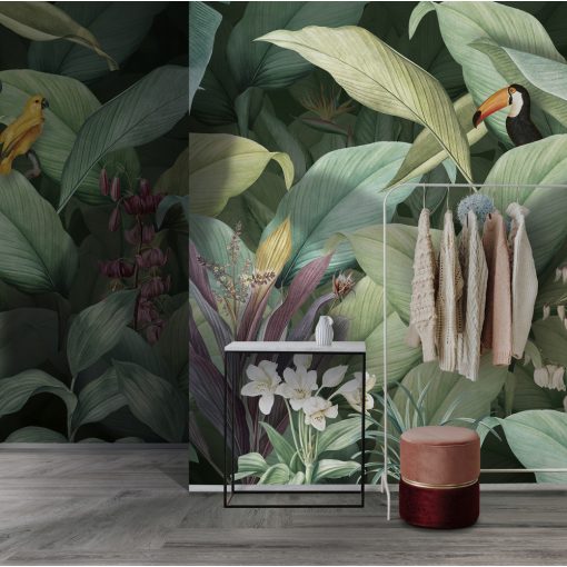Marica   Trópusi mintás tapéta hatalmas levelekkel