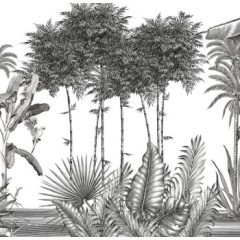 Monochrome    Fekete-fehér dzsungel mintás tapéta