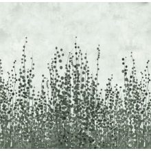 Edera     Növény mintás tapéta