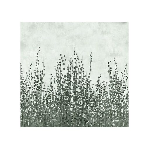 Edera     Növény mintás tapéta